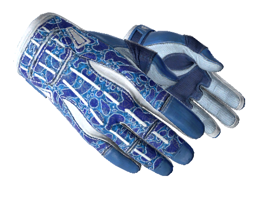 What are the gloves in CS2