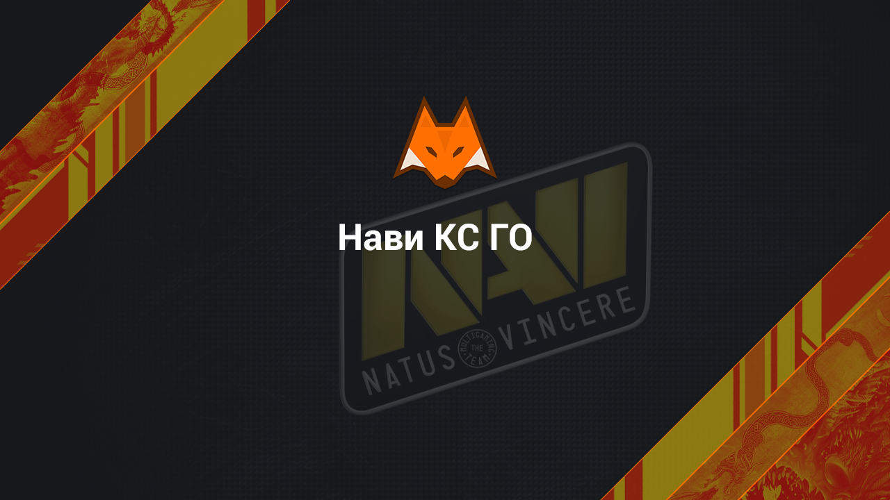 Navi CS GO