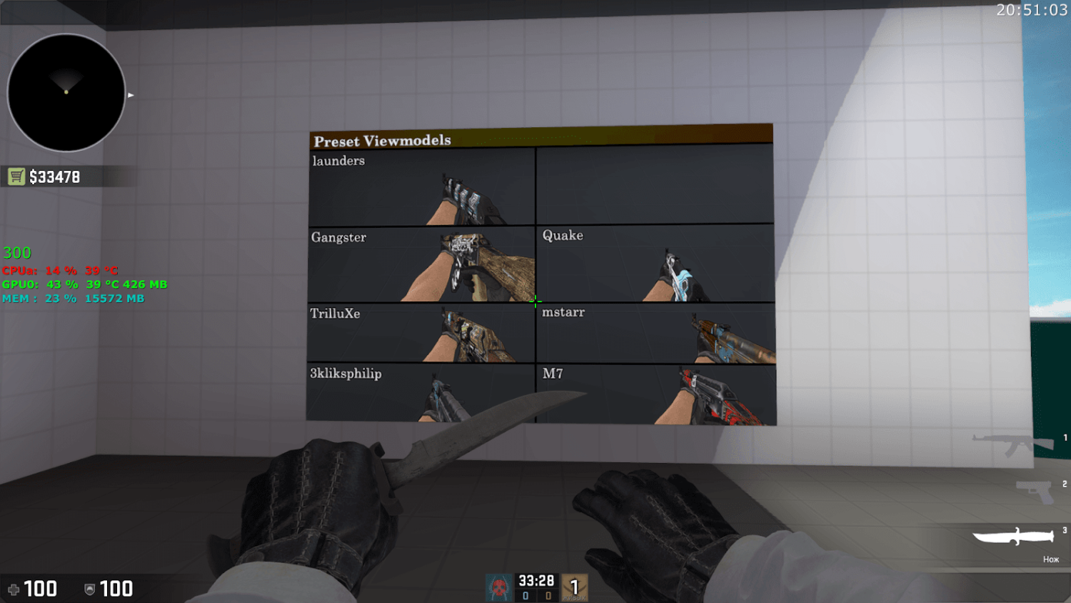 Hand Customization in CS:GO 5