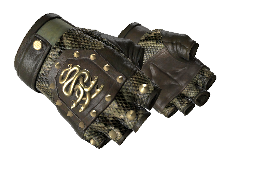 Best Gloves Under $100 in 2025