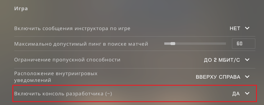 Cómo habilitar viñetas en CS GO 2