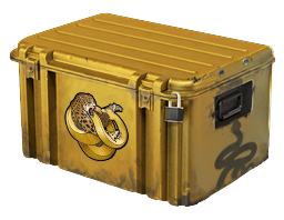 Best CS2 Cases to Open in 2025 11