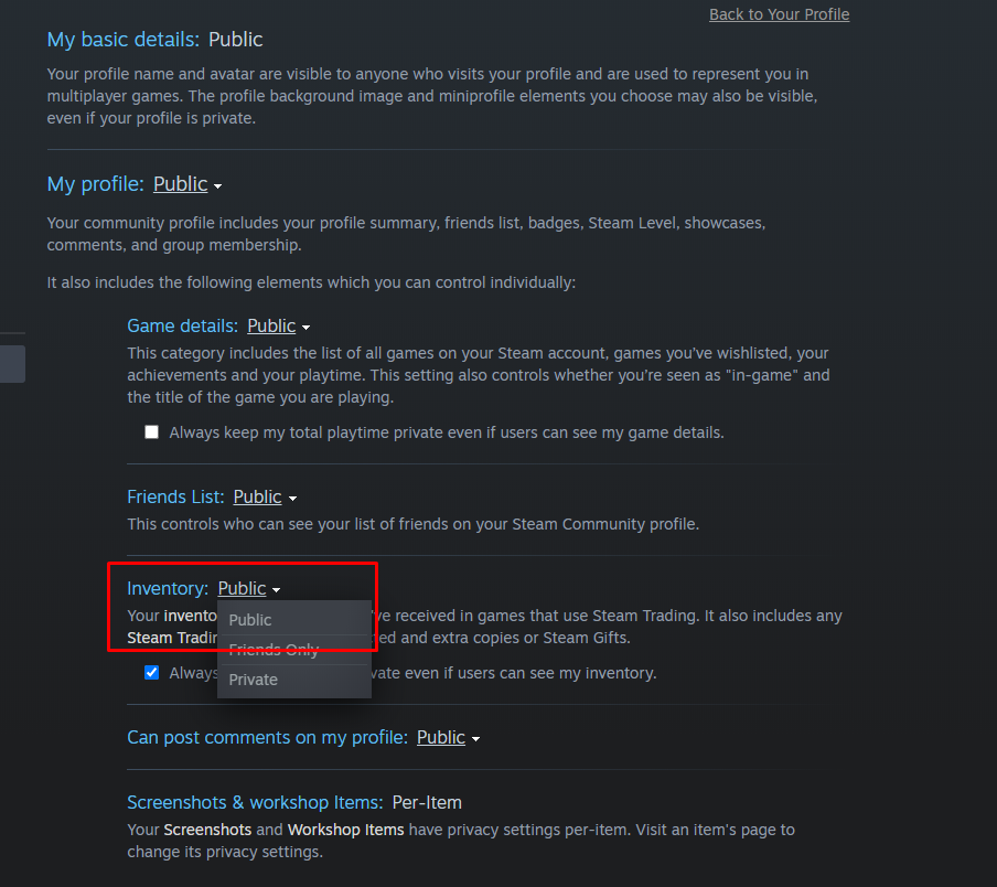 Cómo saber el costo del inventario en CS:GO 2