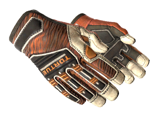 What are the gloves in CS2 5