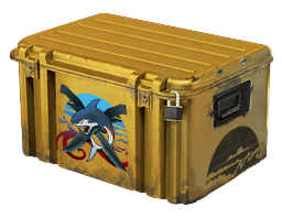 Best CS2 Cases to Open in 2025 9
