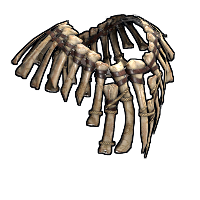 Beautiful Rust Skins 10
