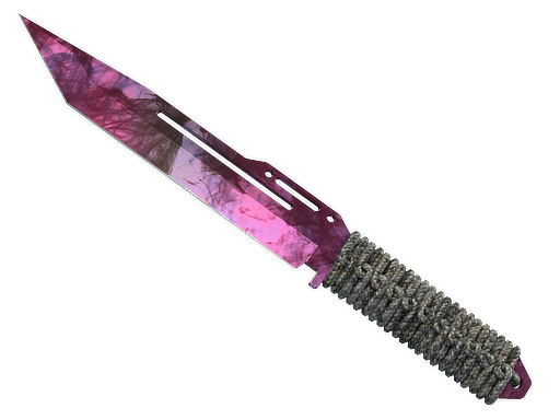★ StatTrak™ Paracord Knife | Doppler Phase 2 (Factory New)