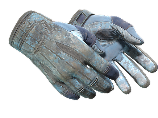 ★ Sport Gloves | Frosty (Battle-Scarred)