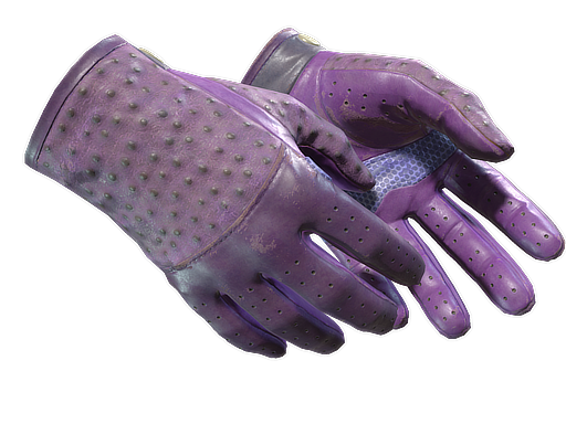 ★ Driver Gloves | Plum Quill (Field-Tested)