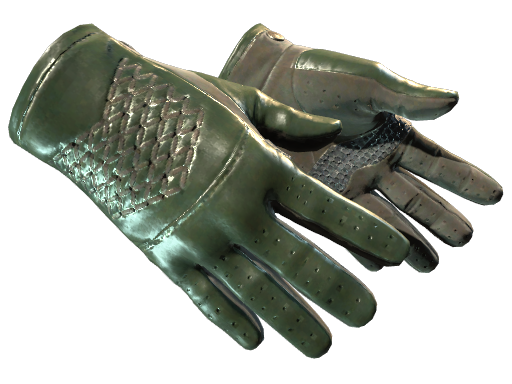 ★ Driver Gloves | Racing Green (Minimal Wear)