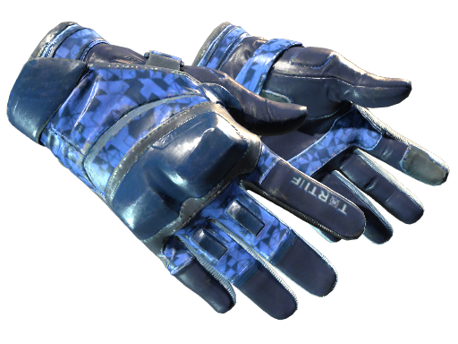★ Moto Gloves | Polygon (Field-Tested)
