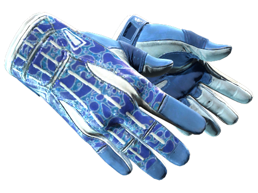 ★ Sport Gloves | Amphibious (Minimal Wear)