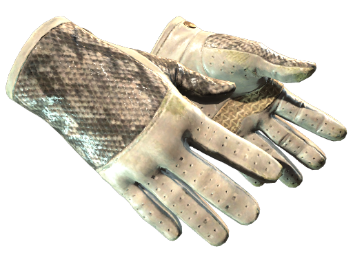 ★ Driver Gloves | King Snake (Well-Worn)
