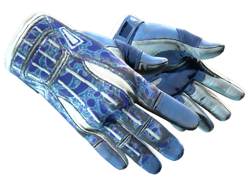 ★ Sport Gloves | Amphibious (Well-Worn)