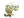 drop (Gold) | Paris 2023