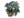 Baby Fire Serpent