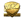 nex (Gold) | Krakow 2017