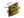 ScreaM (Gold) | Boston 2018