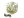 NAF (Gold) | Paris 2023