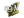 ngiN | Boston 2018