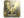 ZywOo (Gold