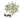 shalfey (Gold) | Paris 2023