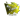 flamie (Foil) | Cologne 2016