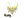 Vitality (Gold) | Paris 2023