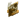 Nifty (Gold) | Boston 2018
