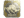 chopper (Gold) | Austin 2025