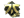Fnatic (Gold) | Rio 2022