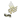Bad News Eagles (Gold) | Paris 2023
