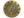 9z Team (Gold) | Cologne 2026
