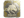 zont1x (Gold) | Austin 2025
