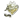 jks (Gold) | Paris 2023