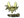 dupreeh (Gold) | Antwerp 2022