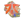 Fnatic (Holo) | Rio 2022