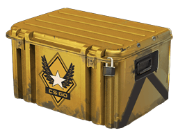 Winter Offensive Weapon Case image