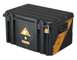 CS:GO Weapon Case image