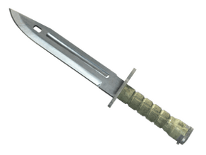 ★  Bayonet image