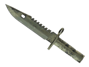 Safari Mesh image