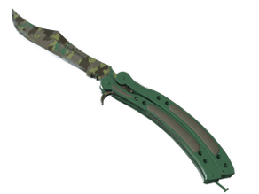 Boreal Forest image