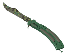 Boreal Forest image