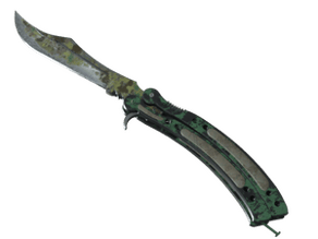 Boreal Forest image
