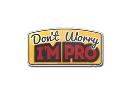 Don't Worry, I'm Pro image