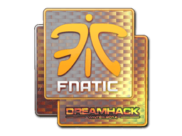 Fnatic (Holo) image
