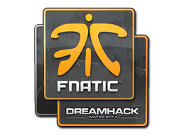 Fnatic image