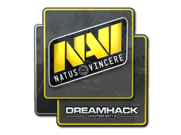 Natus Vincere image