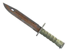 Rust Coat image
