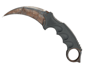 Rust Coat image